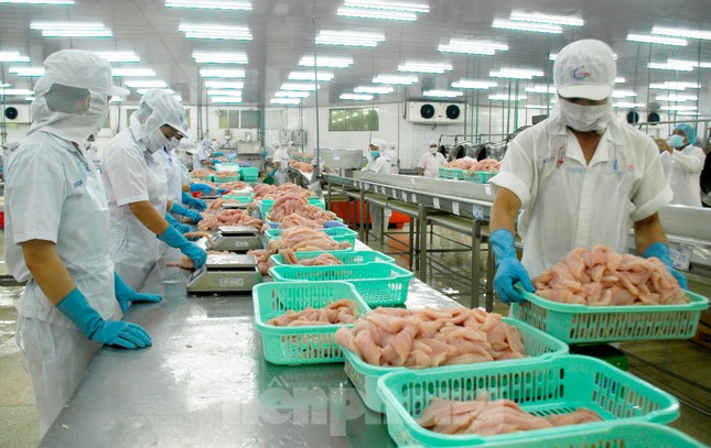 Delta du Mékong près de 4 600 entreprises actives sur le marché au 1er trimestre